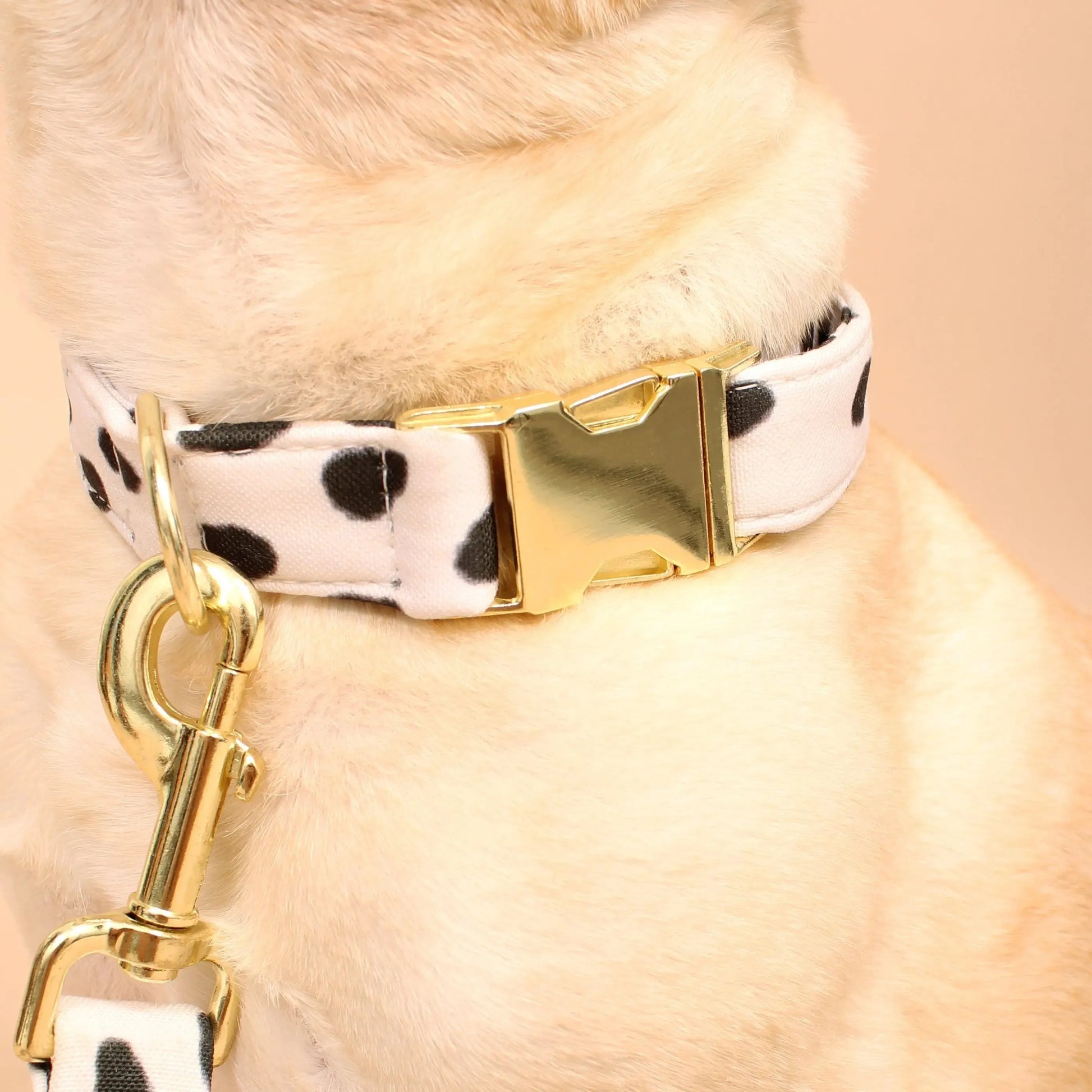 K9 Outdoors - San Francisco Recycled Dog Collar