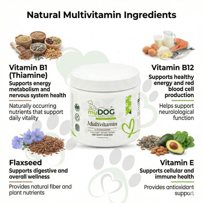 Daily Multivitamin Soft Chews for Dog Vitality and Wellness