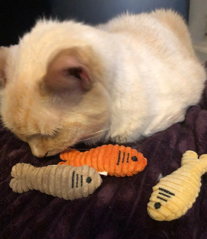 Interactive Crinkly Sardine Trio Plush Toys for Active Cats