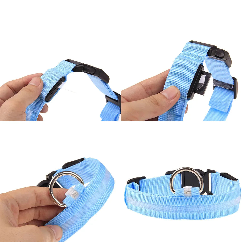 Royal Luminous Safety Pet Collar Adjustable LED Night Visibility 💡👑