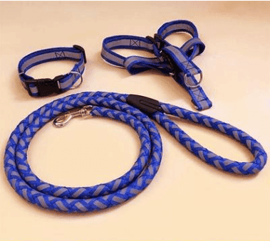 Purrfect Pet Kingdom Secure Dog Leash with Padded Handle S Blue Purrfect Pet Kingdom