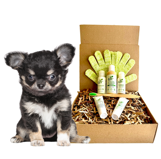ReNewedPet sensitive dog grooming kit with shampoo, conditioner, and grooming gloves for gentle pet care