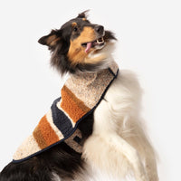 Shinola Brand Stripe Berber Dog Coat Oatmeal