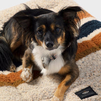 Shinola Brand Stripe Comfort Cushion Berber Dog Bed Oatmeal