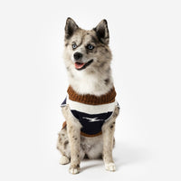Shinola Brand Stripe Knitted Pet Sweater