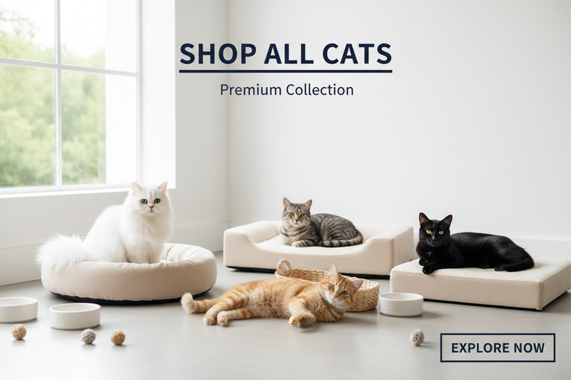 Shop All Cats - Properly Centered