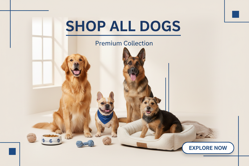 shop all dogs