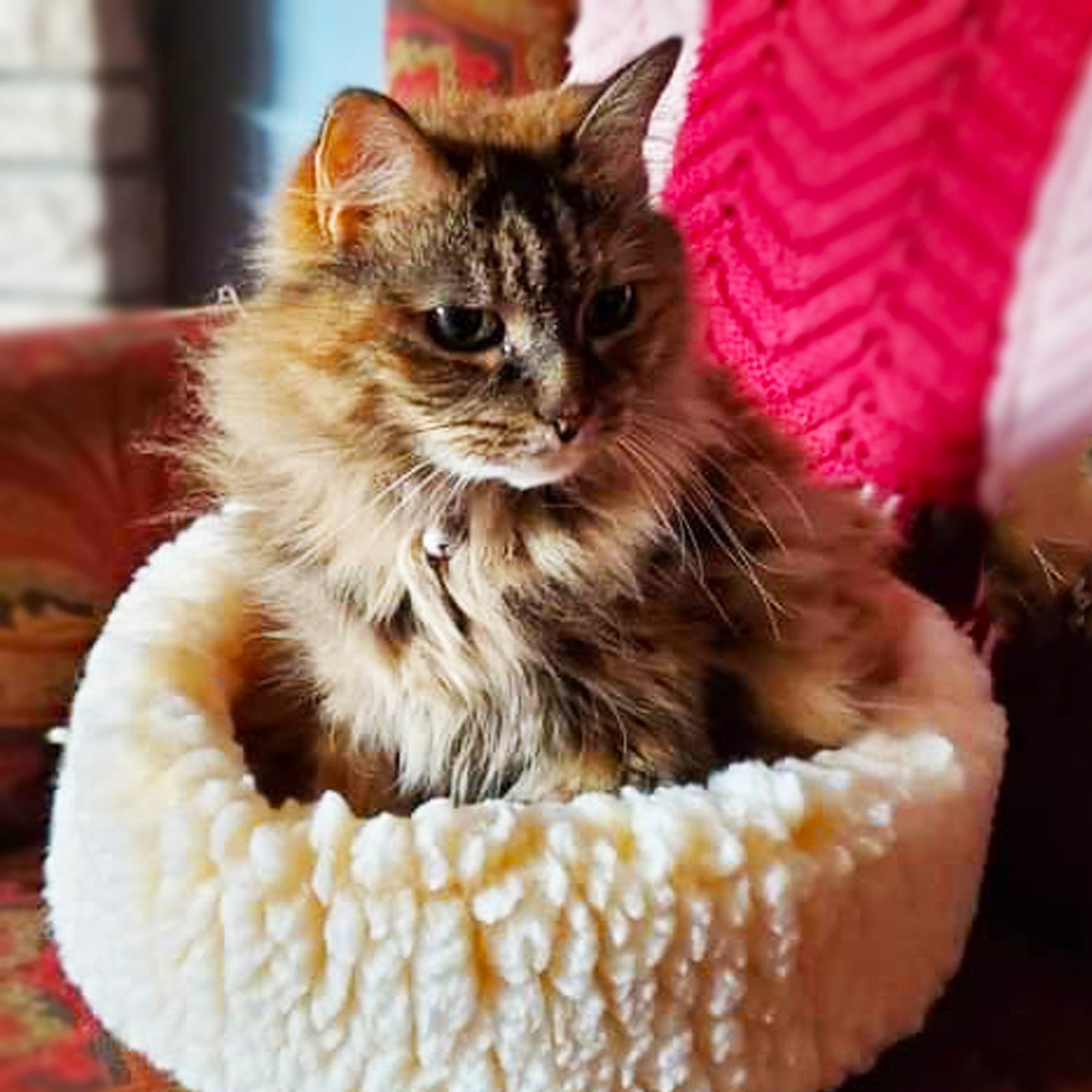 Cat Bed HuggleFleece HuggleSnuggler Beds for Daily Use Essen - close up product image for cat bed