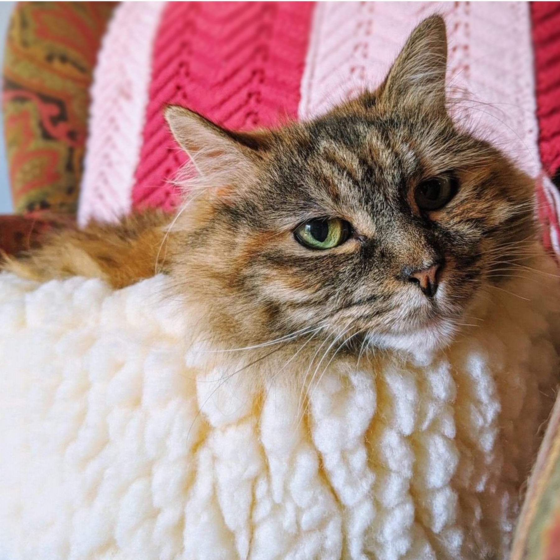 Cat Bed HuggleFleece HuggleSnuggler Beds for Daily Use Essen - gallery product image for cat bed