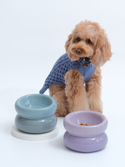 Ergonomic elevated blue and lavender ceramic pet bowls next to a fluffy dog in a blue sweater.