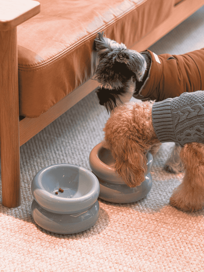 Ceramic Elevated Pet Bowl Ergonomic Dining for Cat and Dog