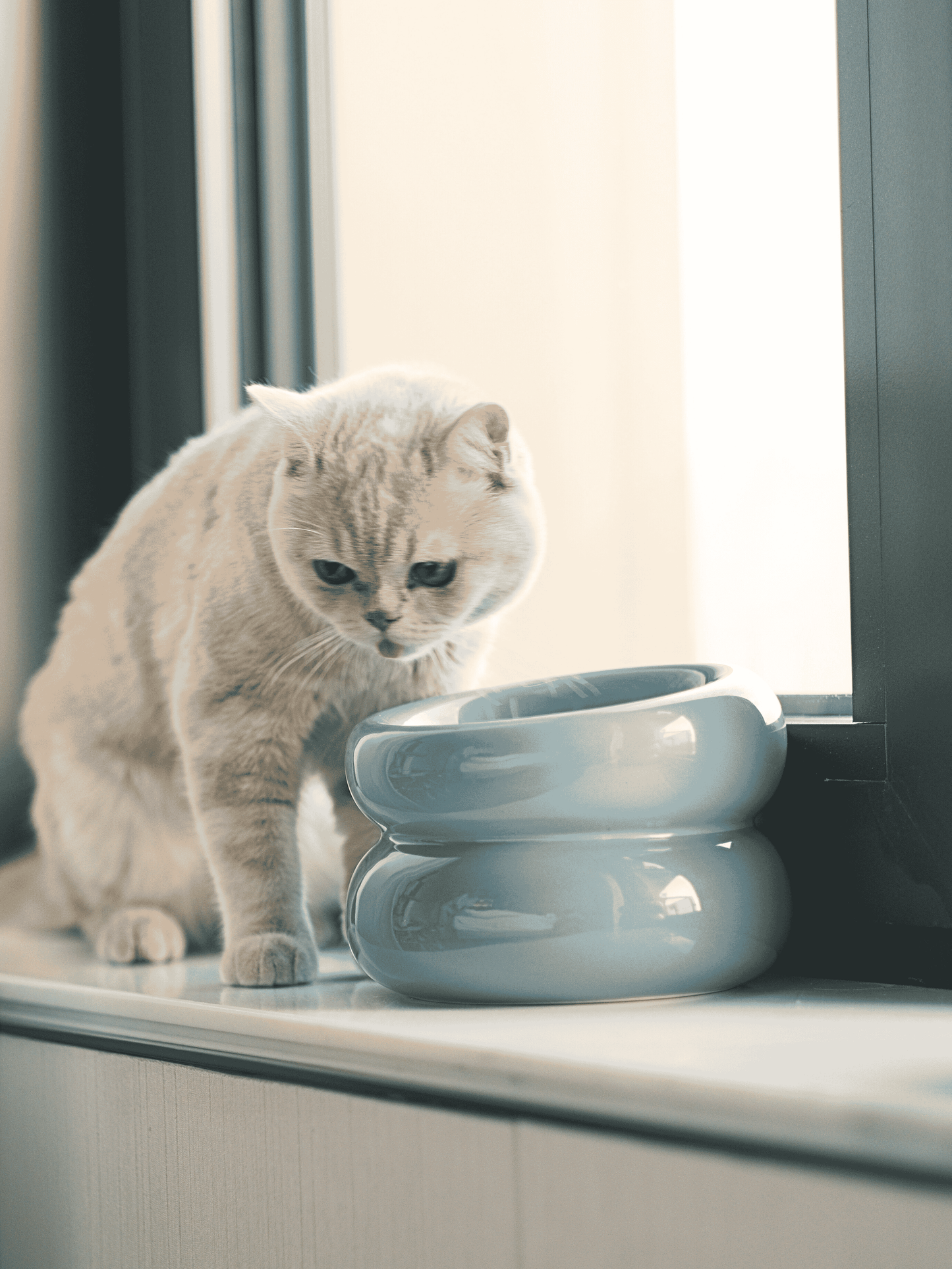 Ceramic Elevated Pet Bowl Ergonomic Dining for Cat and Dog