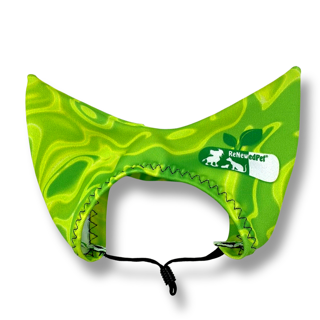 4 - ALL PETS SHOWER / EAR / SUN CAP! - Pet Grooming - ReNewedPet