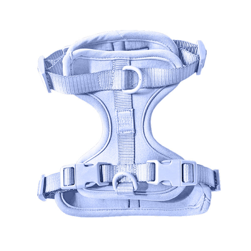 Harness - Pet Collars & Harnesses - Come Here Buddy