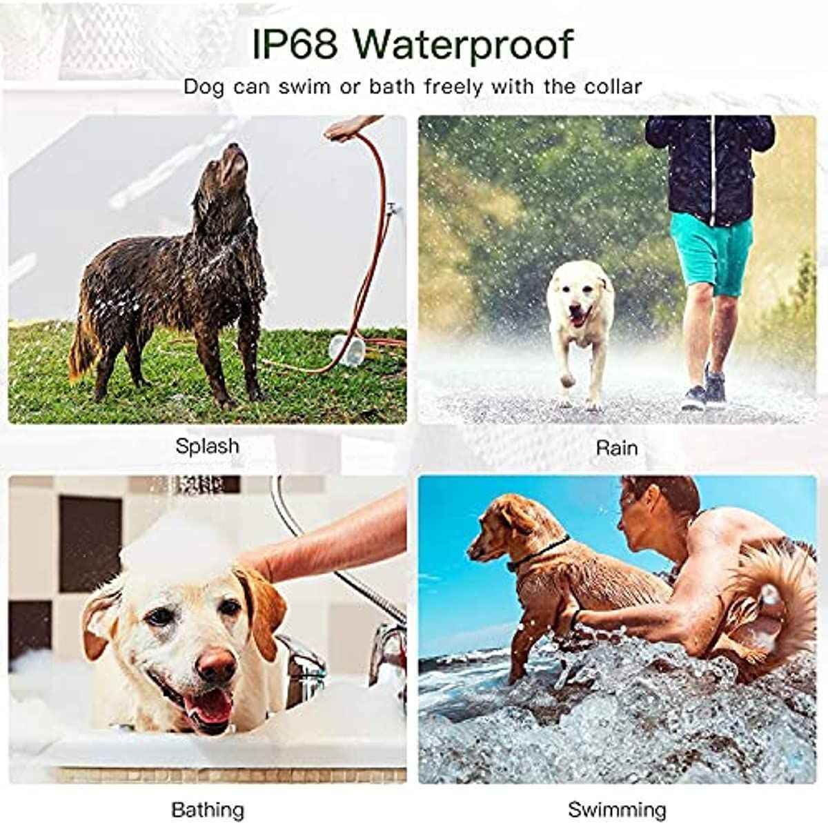 Purrfect Pet Kingdom Beep and Light Dog Training Collar Purrfect Pet Kingdom