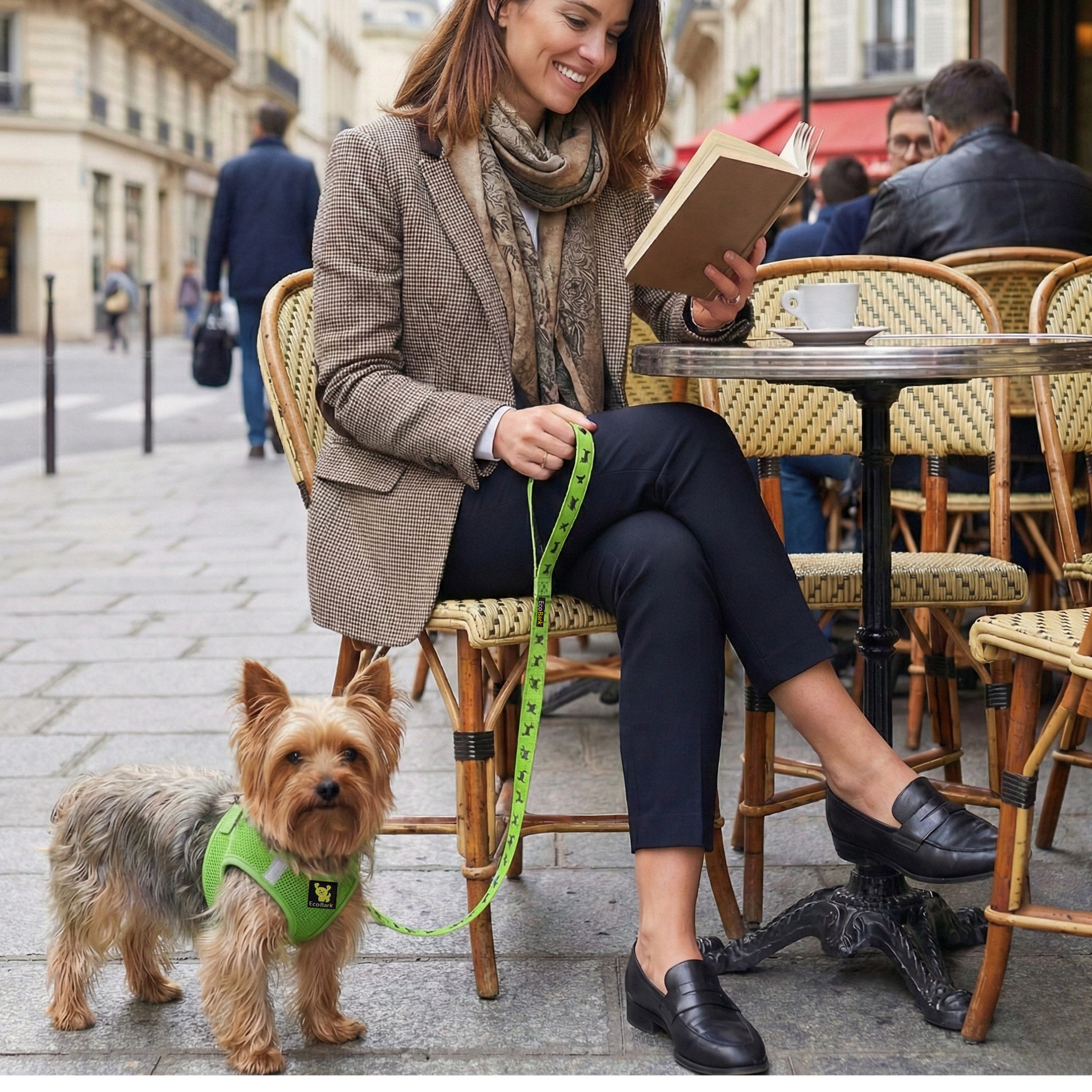 Dog Leash EcoBark Green Leash- Padded Comfort Grip Leash 4ft - gallery product image for dog leash