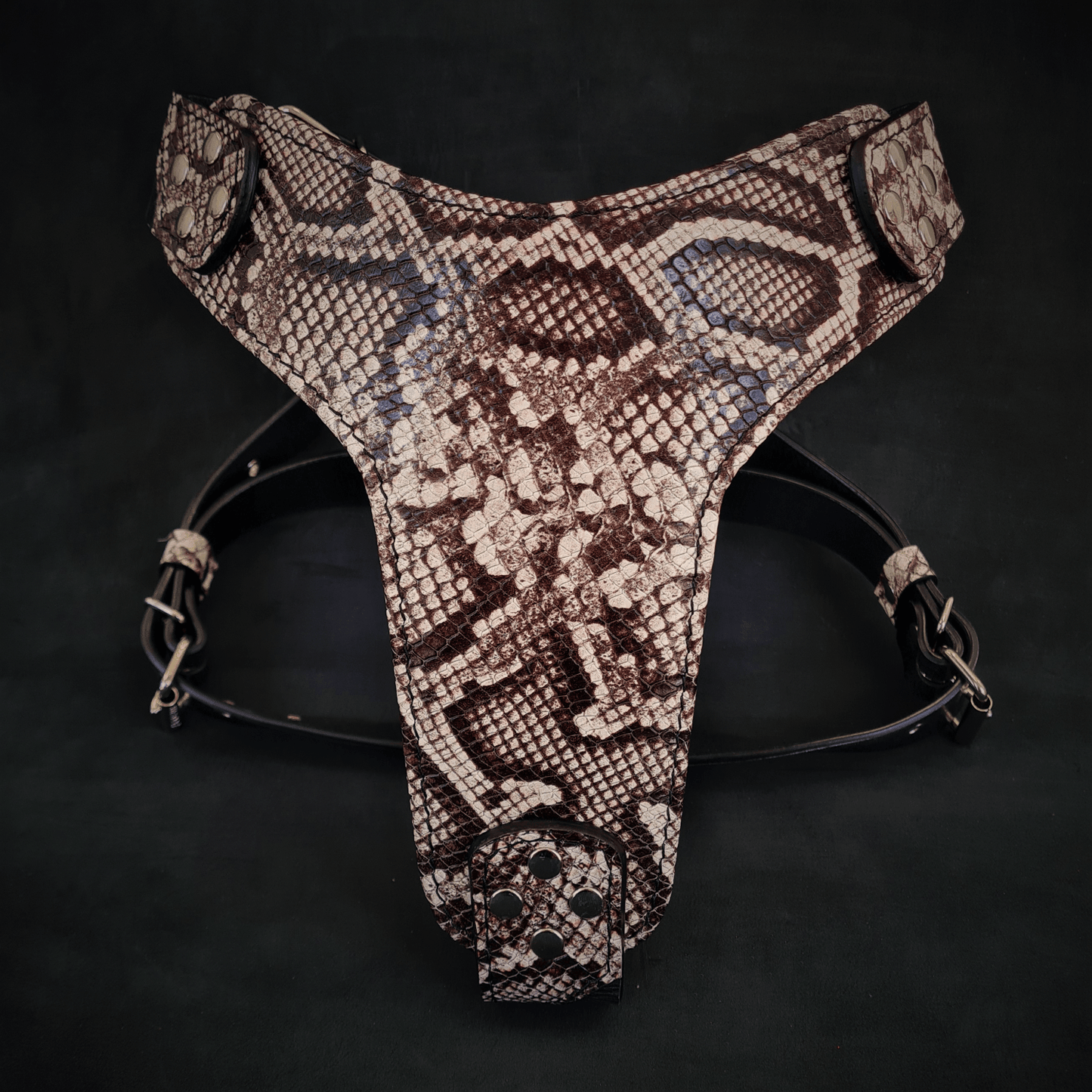 The ''Rock Python'' harness - WooF WooF MeoW MeoW