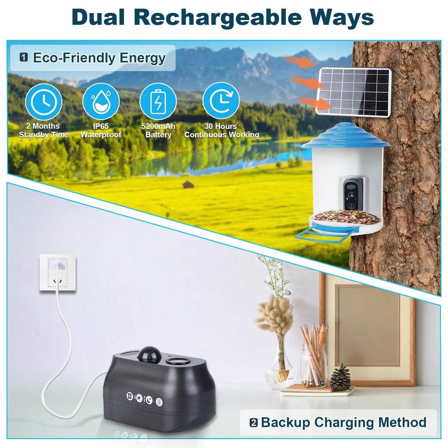 Smart Bird Feeder with Solar Powered Camera 1080P HD AI Identify PIR