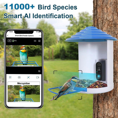 Smart Bird Feeder with Solar Powered Camera 1080P HD AI Identify PIR