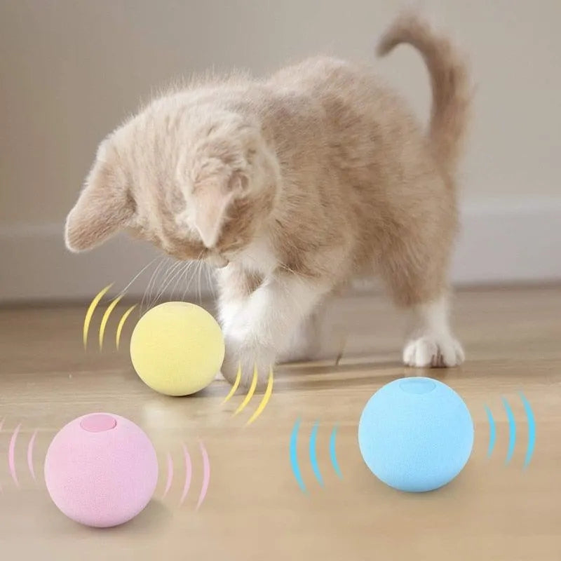 Smart Cat Toys Ball by Stevvex in blue, a fun catnip training toy for interactive play and exercise for cats.