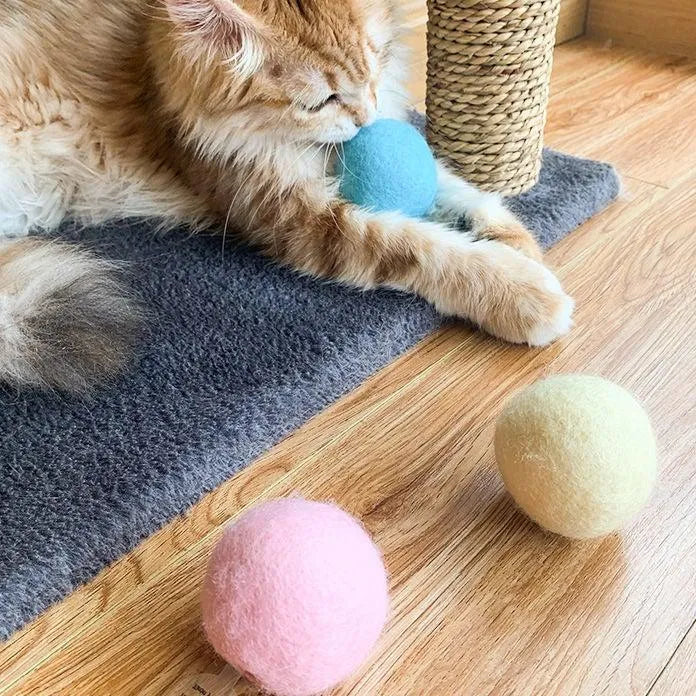 Smart Cat Toys Ball by Stevvex in blue, interactive chirping ball for cat training and exercise, perfect for playful pets.