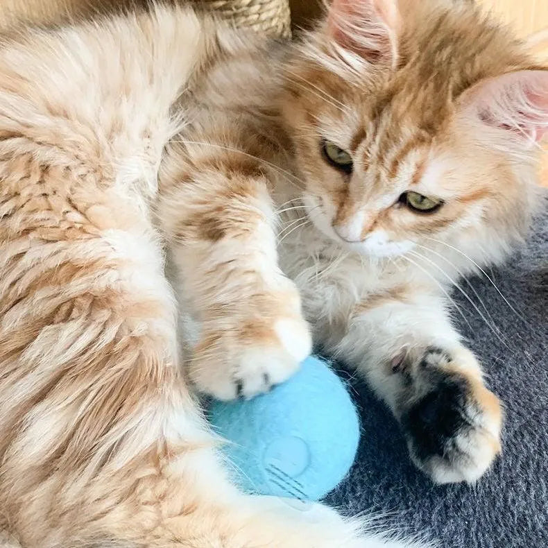 Interactive Stevvex Smart Cat Toys Ball in blue, a fun catnip training toy for exercise, perfect for playful cats.