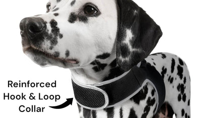 Purrfect Pet Kingdom Smart Dog Tracking Collar with GPS Purrfect Pet Kingdom