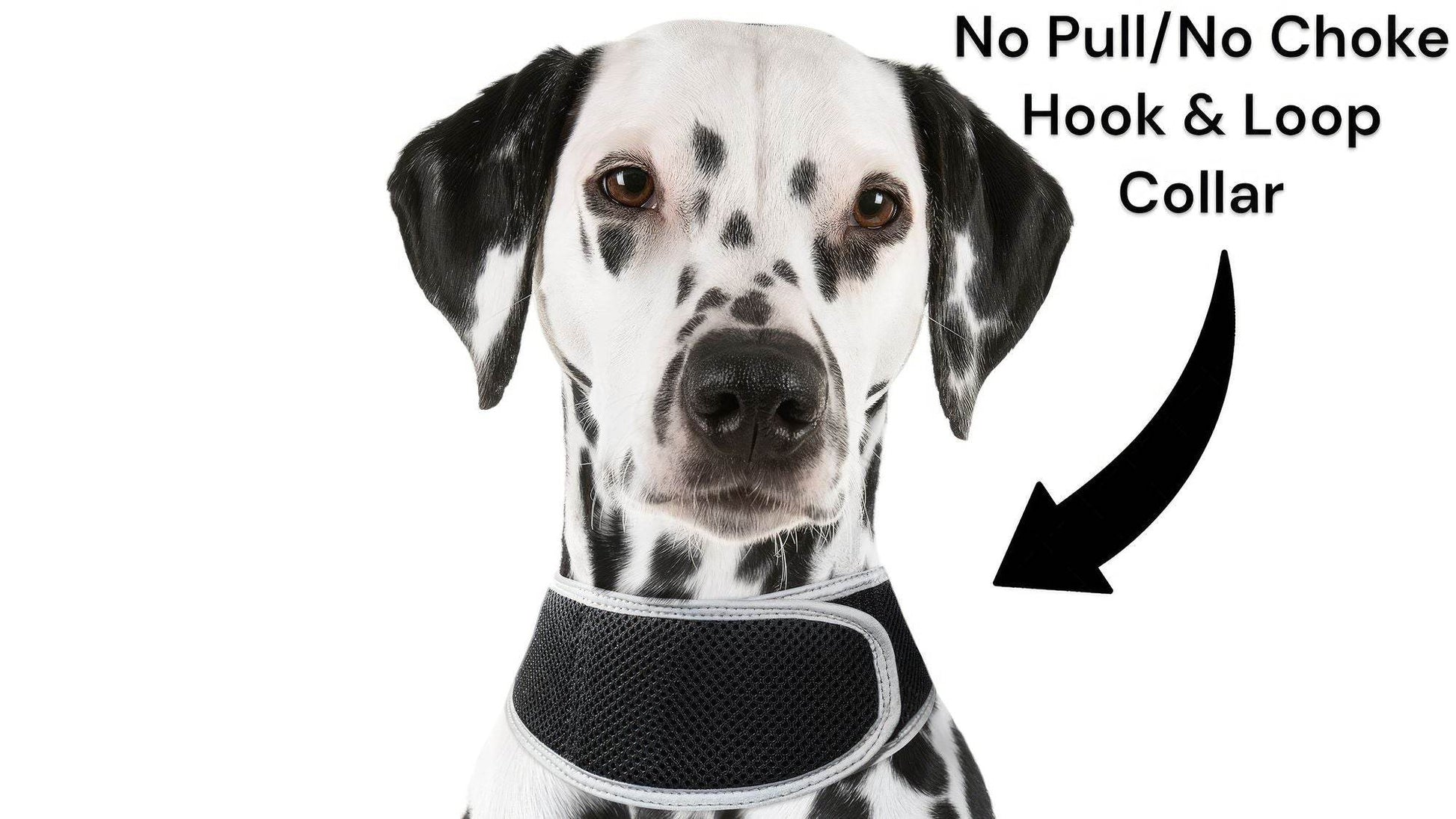 Purrfect Pet Kingdom Smart Dog Tracking Collar with GPS Purrfect Pet Kingdom