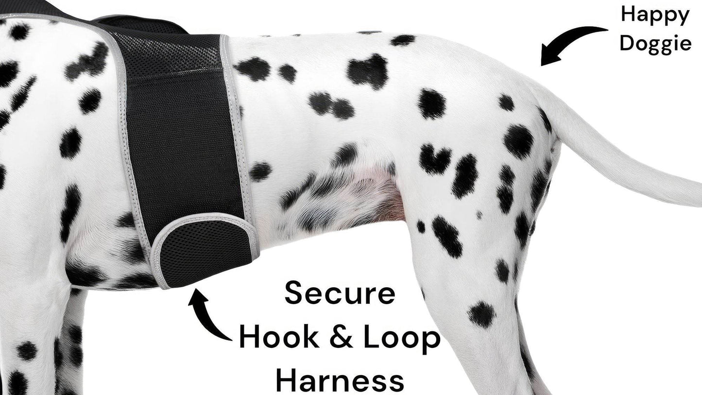 Purrfect Pet Kingdom Smart Dog Tracking Collar with GPS Purrfect Pet Kingdom
