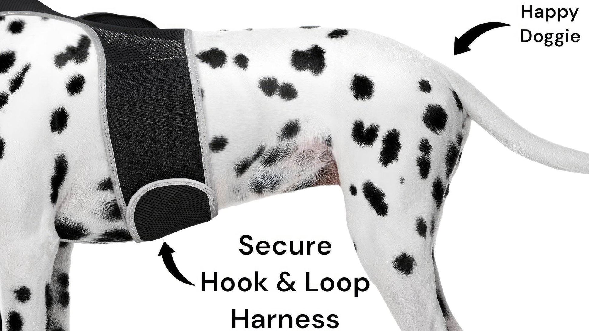 Purrfect Pet Kingdom Smart Dog Tracking Collar with GPS Purrfect Pet Kingdom