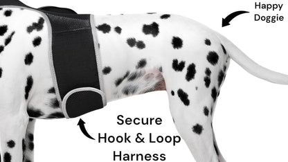 Purrfect Pet Kingdom Smart Dog Tracking Collar with GPS Purrfect Pet Kingdom