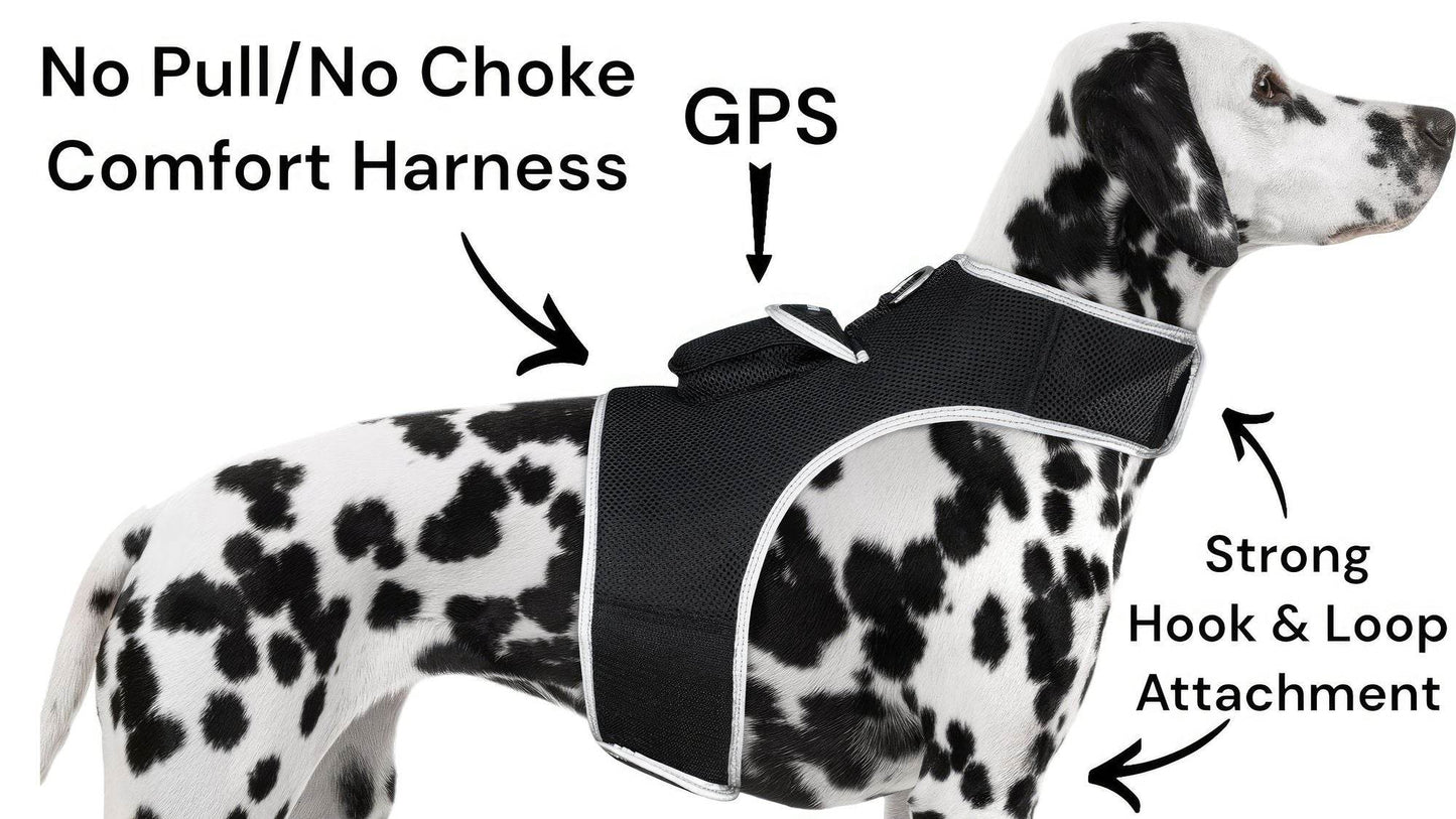 Purrfect Pet Kingdom Smart Dog Tracking Collar with GPS Purrfect Pet Kingdom