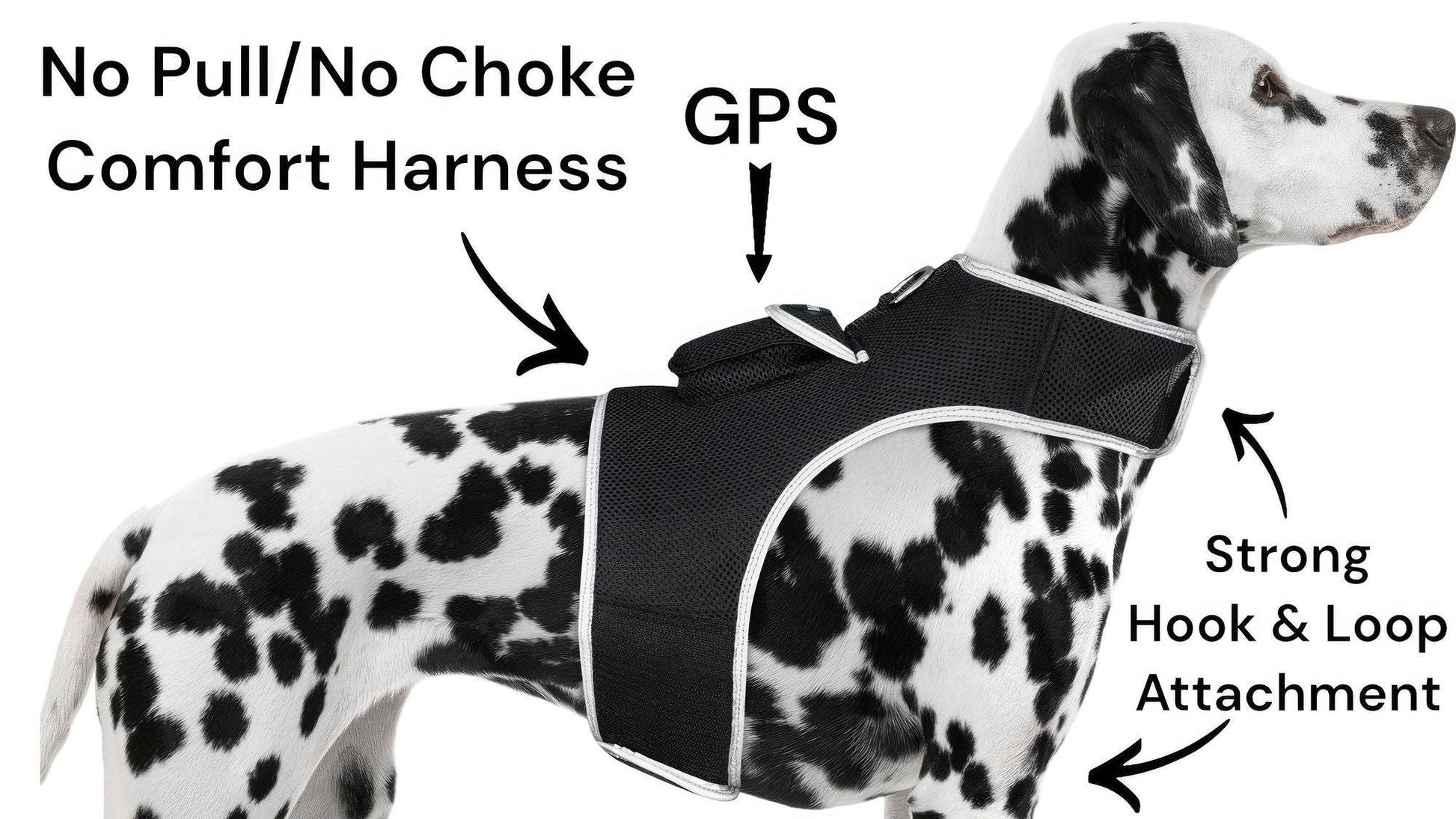 Purrfect Pet Kingdom Smart Dog Tracking Collar with GPS Purrfect Pet Kingdom