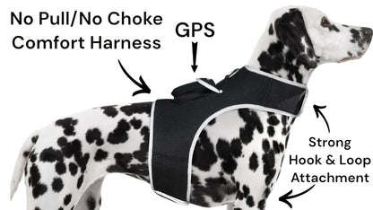 Purrfect Pet Kingdom Smart Dog Tracking Collar with GPS Purrfect Pet Kingdom