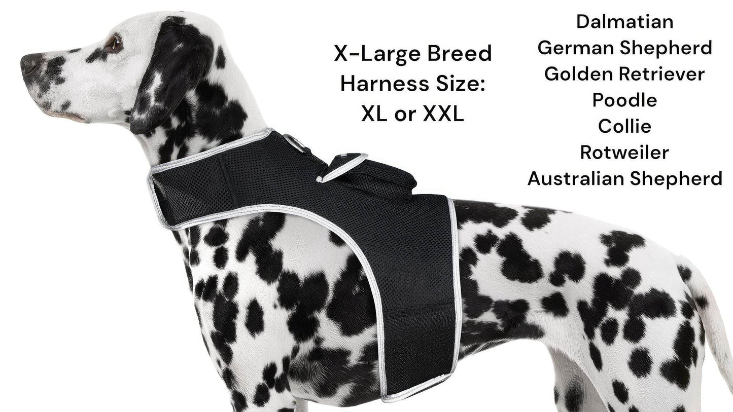 Purrfect Pet Kingdom Smart Dog Tracking Collar with GPS Purrfect Pet Kingdom