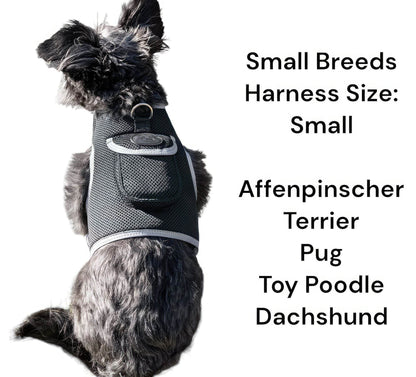 Purrfect Pet Kingdom Smart Dog Tracking Collar with GPS Purrfect Pet Kingdom