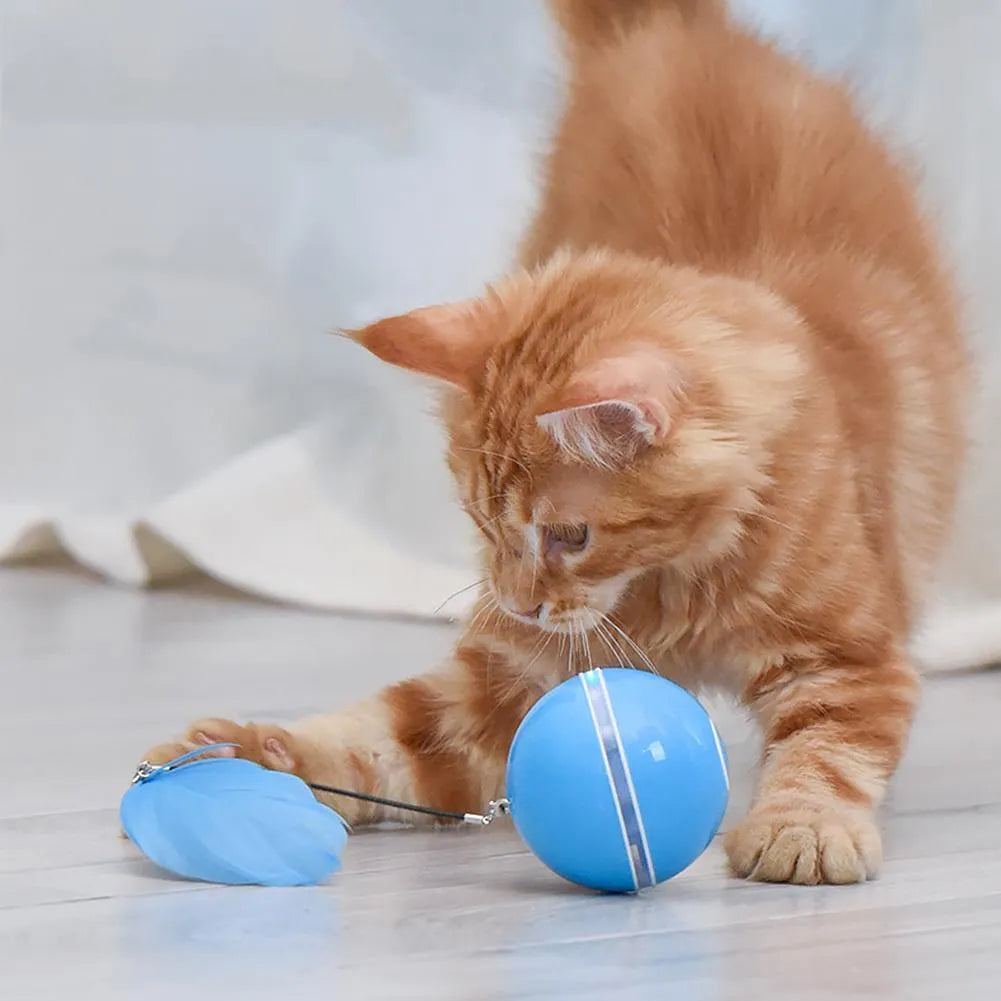 Smart Interactive Cat Toy by Stevvex, colorful LED self-rotating ball with bell and feather, available in blue, gray, and ...