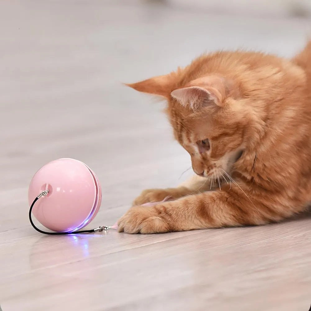 Colorful LED self-rotating ball toy for cats by Stevvex, featuring a bell and feather, available in blue, gray, and rainbo...