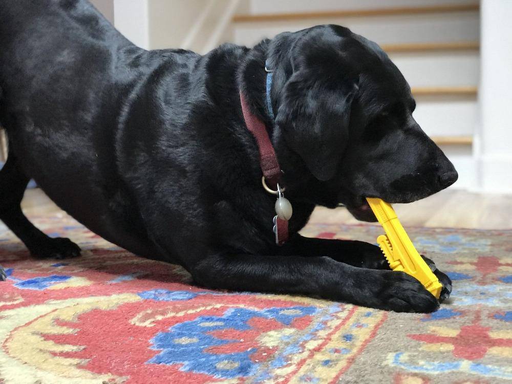Pipe Wrench Nylon toy for Aggressive Chewers | USA Made
