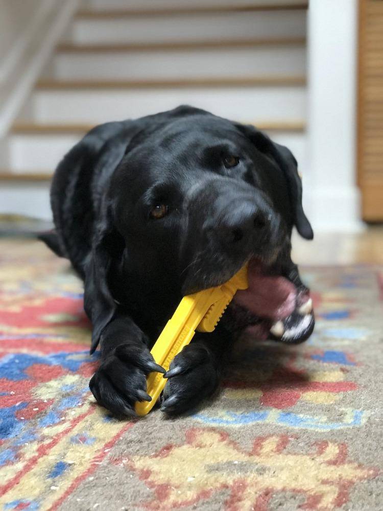 Pipe Wrench Nylon toy for Aggressive Chewers | USA Made