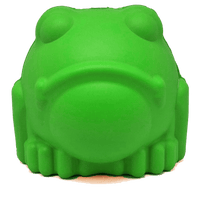 Bull Frog eDispenser Durable Rubber Chew Toy & Treat Dispenser - Large