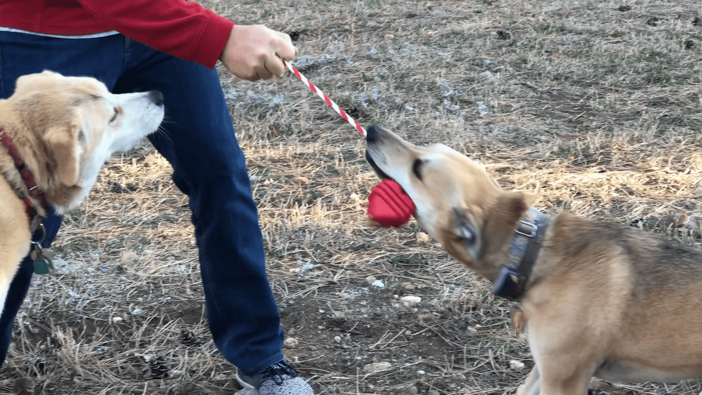 Heart on a String Dog Toy - Durable Rubber Tug Toy for Large Dogs