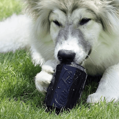 Magnum Can Toy Rubber Dog Chew Toy for Extreme  Chewers |