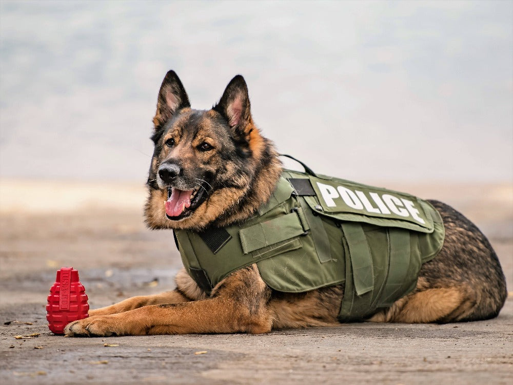 USA-K9 Grenade Rubber Dog Chew Toy | K9 Handler Reward Toy | Red