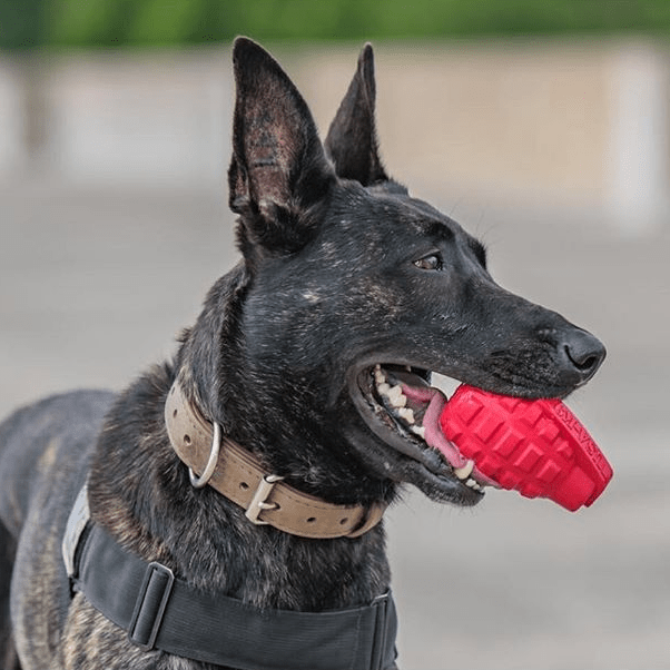 USA-K9 Grenade Rubber Dog Chew Toy | K9 Handler Reward Toy |