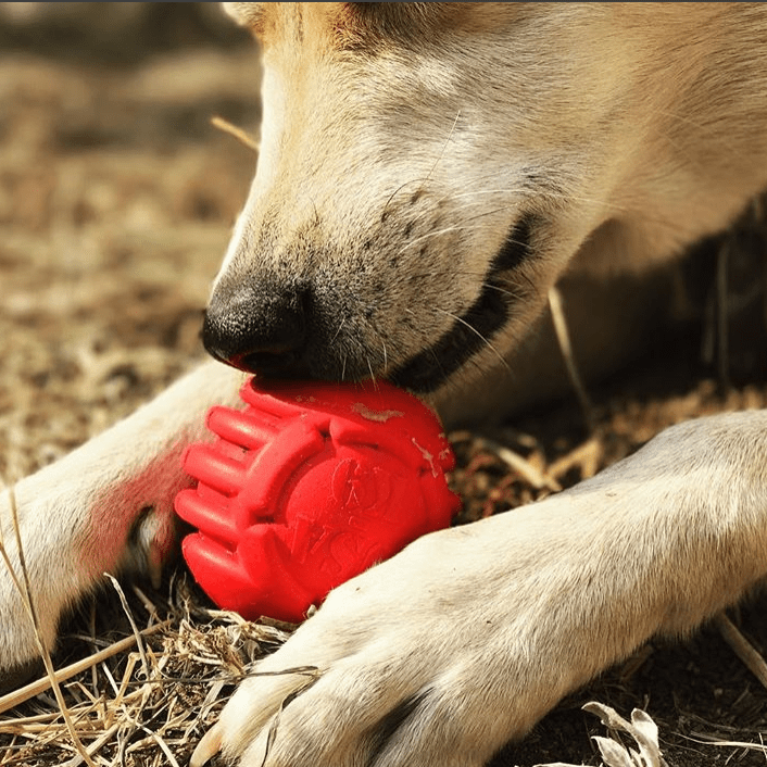 USA-K9 Stars and Stripes Rubber toy | K9 Handler Reward Toy
