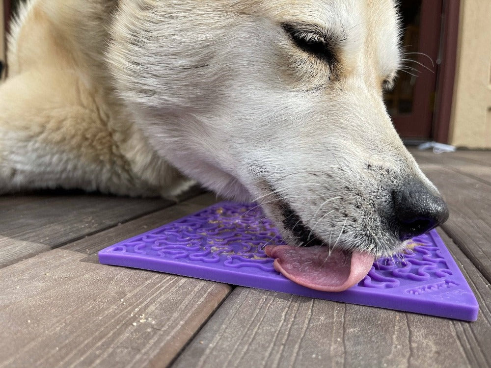Bones eMat - Enrichment Lick Mat for Dogs and Cats | eMat