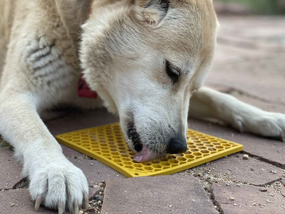 Honeycomb eMat - Enrichment Lick Mat for Dogs and Cats |