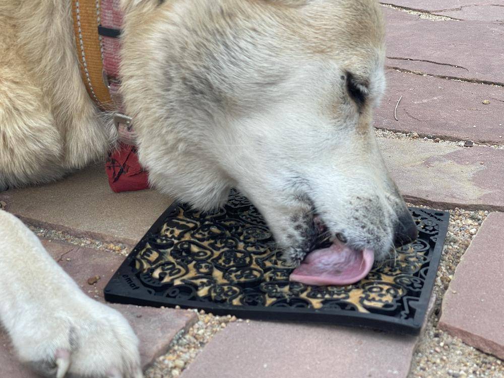 Zombie Emat Enrichment Lick Mat For Dogs And Cats Halloween - gallery image 9