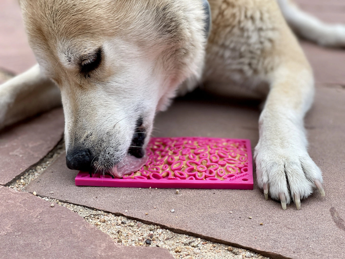 SodaPup/True Dogs, LLC - Flower Power emat - Enrichment Lick Mat for Dogs and Cats | Flower Design | USA Made - Pet Bowls ...
